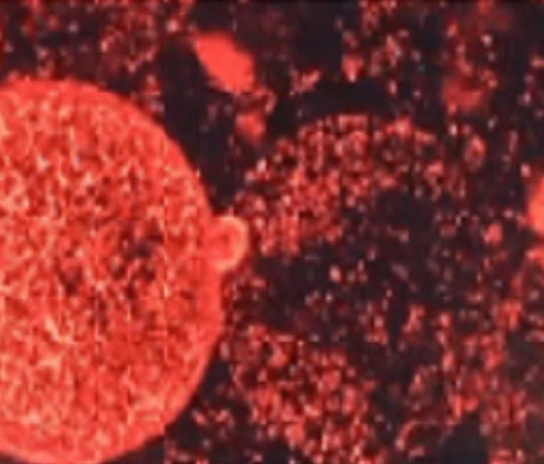 b42c8240310c1410c6b05d1b91620249_1718695388_2984.jpg